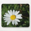 Daisy Time mousepads by idream10 Daisy Time mousepads