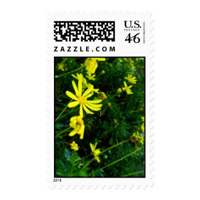 Daisy time. stamp by potatocrisps