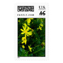 Daisy time. postage