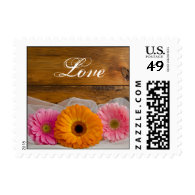 Daisy Trio Country Love Wedding Postage Stamp