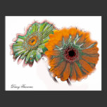 Daisy Twosome, photo poster posters
