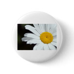 Daisy Up Close Pins