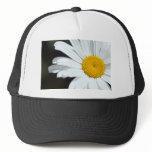 Daisy Up Close hats