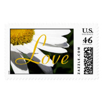 Daisy Wedding Postage Stamps