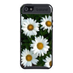 Daisy ( WestCreek) Skinit Phone case iPhone 5 Case
