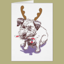 daisy xmas cards