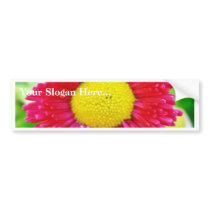 Daisy Yellow Red Close Up bumper stickers by lifesphere Daisy Yellow Red Close Up bumper stickers