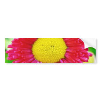 Daisy Yellow Red Close Up bumper stickers by lifesphere Daisy Yellow Red Close Up bumper stickers
