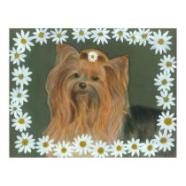 Daisy Yorkie posters by Tinibaybeez Daisy Yorkie posters