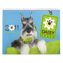 DaisyCares Calendar 2011