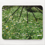 Daisys and Wheel Spokes Mouse Mats
