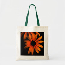 Daisy's Bag