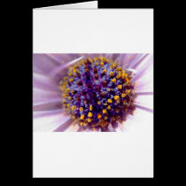Daisy's Heart cards