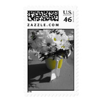 daisys on the beach postage