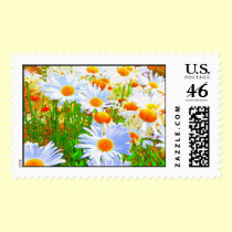 Daisys postage