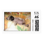 Daizzzzzy postage