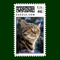Dakota - Cat postage postage