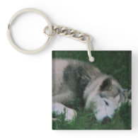 Dakota The Dog Acrylic Keychain