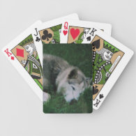 Dakota The Dog Bicycle Poker Cards