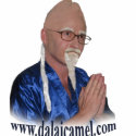 dalai camel classy, spiritual image t-shirts
