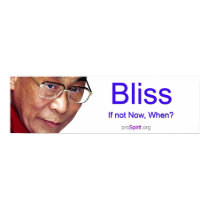 Dalai Lama - Enlightenment posters by prospirit Dalai Lama - Enlightenment posters