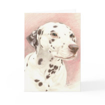 Dalamation in Coloured Pencil cards by pencilpetportraits Dalamation in Coloured Pencil cards