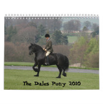 Dales Pony 2010 Calendar by annamrh Dales Pony 2010 Calendar