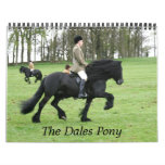 Dales Pony 2011 calendars