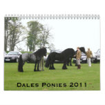 Dales Pony 2011 Calendar