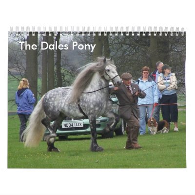 Dales Pony Calendar by annamrh