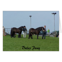 Dales Pony card