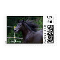 Dales Pony head stamp