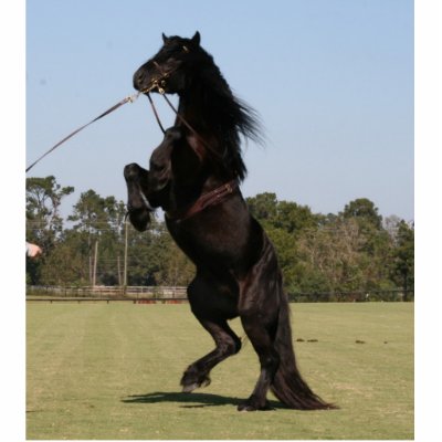 Dales Pony ornament Photo Sculpture by annamrh