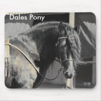 Dales Pony stallion Mousepad