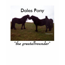 Dales stallion/mare tshirt