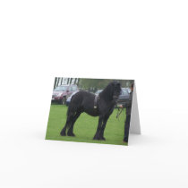 Dales stallion note cards