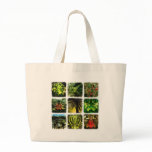 Dali Plants bags