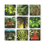 Dali Plants Refrigerator Magnets