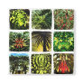 Dali Plants Refrigerator Magnets
