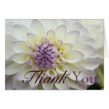 Dalia blanca • Gracias cardar Felicitaciones