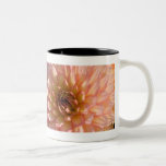 Dalia rosada y poner crema tazas de café