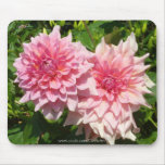 dalias rosadas dobles b7 alfombrillas de ratones