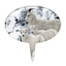Dall Sheep Cake Picks