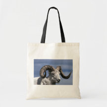 Dall sheep (Large ram) Canvas Bags