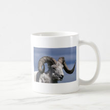 Dall sheep (Large ram) Coffee Mug