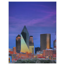 Dallas #5371 flyers