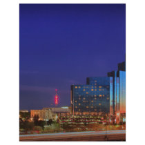 Dallas #5450 flyers