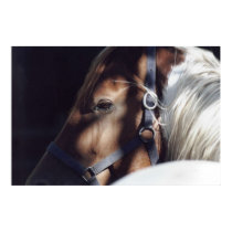 Dallas Print by SecondChanceRanch Dallas Print
