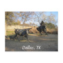 Dallas, TX postcards