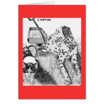 Dalmatian and Kitten cards by Hoffard Dalmatian and Kitten cards